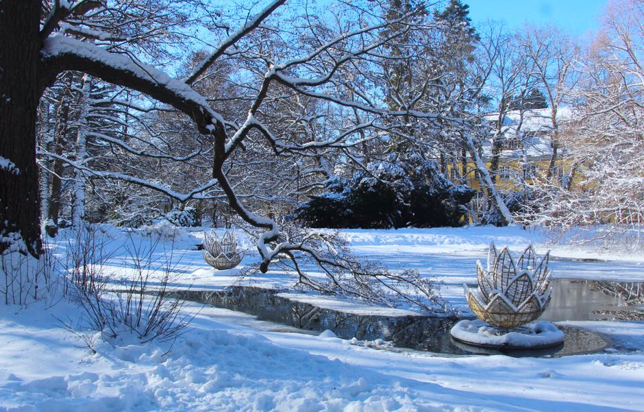Frozen Garden Pond Winter Snow 1785499219733